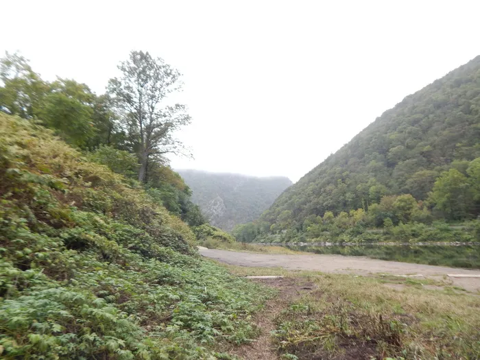 特拉华水沟，美国，河流，树木，山脉，水沟，植物，树木