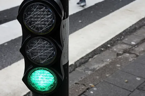 黑色交通灯,灯,沥青,柏油路面,交通灯,人,人,* 黑色交通灯,灯,沥青,柏油路面,交通灯,人,人,*