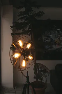 室内松树旁的扇形落地灯点亮