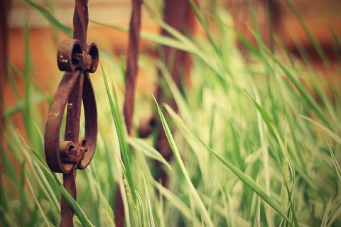 旧铁栅栏，铁，栅栏，门，锻造，旧，金属，背景