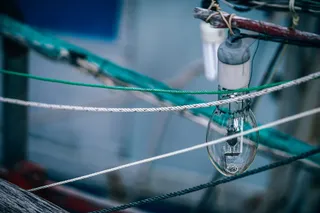 大，船，灯泡，天，细节，电子，设备，鱼