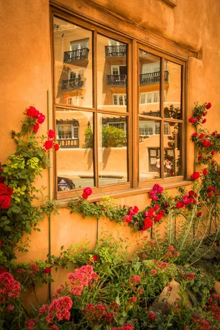 圣达菲，新墨西哥州，土坯，玻璃，植物，花卉，开花植物，建筑外观