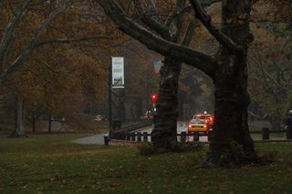 美国，纽约，*公园，出租车，出租车，灯光，树木，公园