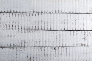 白色织物，背景，树，木材，纹理，木材纹理，木材背景，绿色