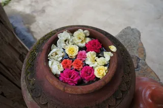 排，小鲜，花，炒锅，泥，亚洲，浮子，花