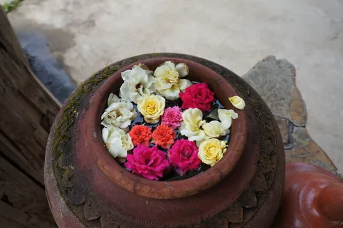 排,小鲜,花,炒锅,泥,亚洲,浮子,花 排,小鲜,花,炒锅,泥,亚洲,浮子,花
