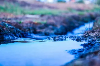 选择性聚焦，自然，白天，陆地，无人，水，蓝色，特写