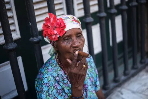 人,老人,女人,祖母,烟草,花,一个人,开花的植物 人,老人,女人,祖母,烟草,花,一个人,开花的植物