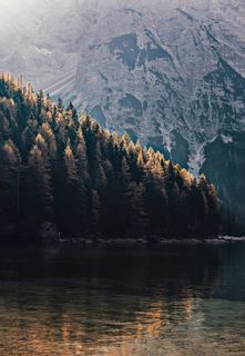 森林附近的湖泊照片 森林附近的湖泊照片