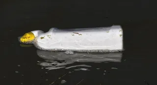 瓶子、鹅颈管、漂浮物、污染、斑点、脏污、容器、水域