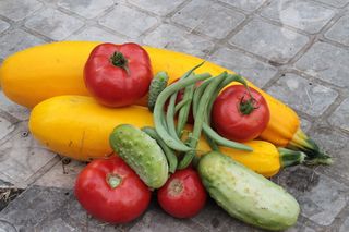 采购产品扁豆，山茱萸，扁豆，小胡瓜，番茄，食物，食物和饮料，健康饮食