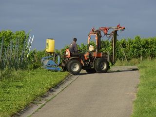 农业, 葡萄酒, 葡萄园, 酿酒师, 桶, 瓶子, 水果, 桶