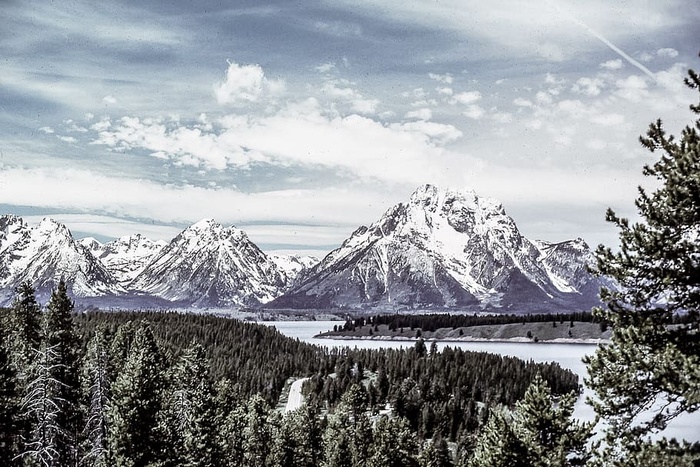树木、河流和雪山景观