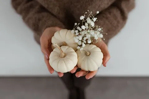 迷你白南瓜 迷你白南瓜