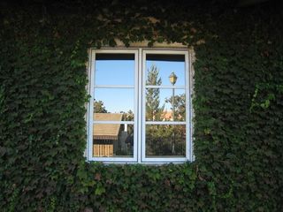 窗户，灯光，灯光变化，植物，建筑，建筑结构，建筑外部，玻璃-材料