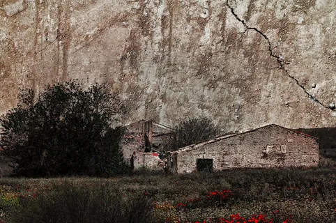 树,自然,旧,木材,纹理,旧木材,旧纸,皱折纸 树,自然,旧,木材,纹理,旧木材,旧纸,皱折纸