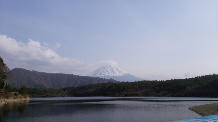 富士山，西湖，富士山和湖，日本自然，湖，山，自然，富士五湖的mikata