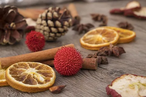 柠檬切片、圣诞节、降临节、橙子、苹果、肉桂、肉桂条、茴香 柠檬切片、圣诞节、降临节、橙子、苹果、肉桂、肉桂条、茴香