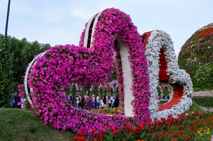 粉红色，花，白色，花园，粉红色的花，白色的花，心形的花，心形的花