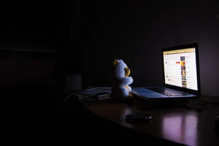 光、人、夜、暗、熊、业务、计算机、连接