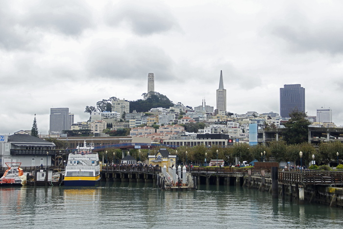 美国, 旧金山, 39 号码头, Coit 塔, SFO, 旧金山, 天际线, 加利福尼亚州