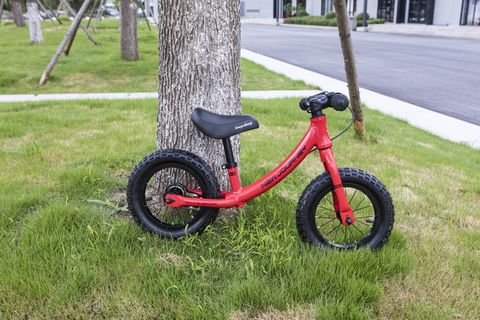 婴儿车、自行车、手推车、草地、植物、树干、树干、运输