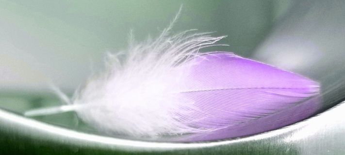 自然、桌面、颜色、纹理、彩色、随机、内部、紫色