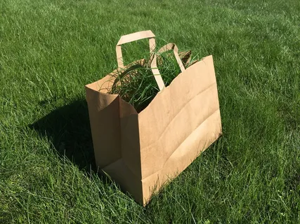 袋子,草,绿色,背景,花园,外面,垃圾,棕色 袋子,草,绿色,背景,花园,外面,垃圾,棕色
