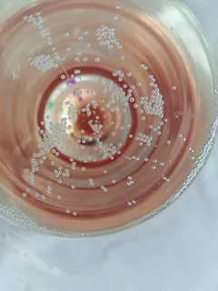 布林迪西,香槟,普罗塞科,玻璃杯,起泡酒,气泡,背景,滴 布林迪西,香槟,普罗塞科,玻璃杯,起泡酒,气泡,背景,滴