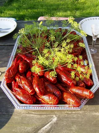 小龙虾、卡拉斯、莳萝、八月、瑞典、食品和饮料、食品、新鲜度