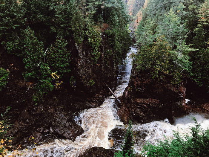 美国，梅伦，n country国家风景步道，树木，植物，水，森林，自然之美