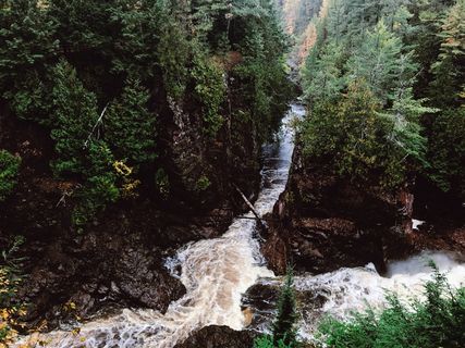 美国，梅伦，n country国家风景步道，树木，植物，水，森林，自然之美