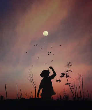 飞行，黎明，天空，人，余辉，艺术，背光，鸟