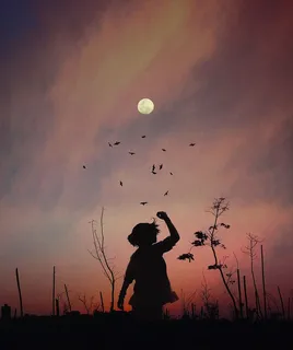 飞行,黎明,天空,人,余辉,艺术,背光,鸟 飞行,黎明,天空,人,余辉,艺术,背光,鸟