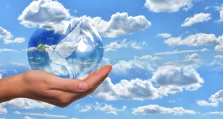 和平鸽子，和谐，鸽子，手，保持，肥皂泡，易碎，符号