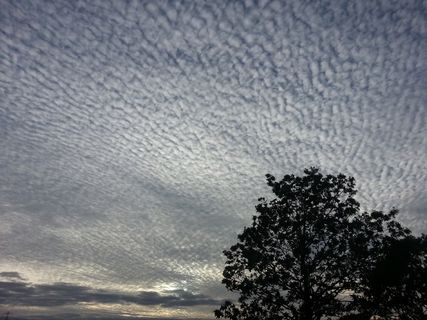 冬天，天空，云，户外，风景，宁静，气象，云景