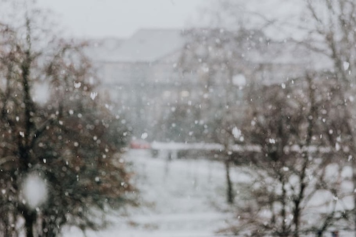 有汽车的雪地街道