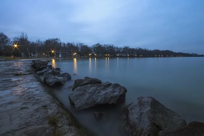 海岸线，面对，平静，身体，水，附近，树木，日落