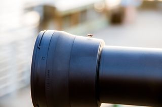 美国，卡纳维拉尔角，虫子，镜头，相机，引擎盖，白天，特写