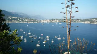 意大利、阿尔本加、利古里亚、港口、水、船只、自然、山脉