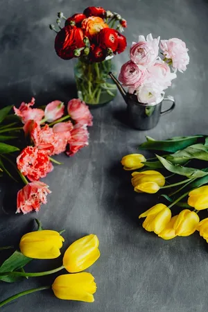 灰色背景上的彩色花朵，带有复制空间