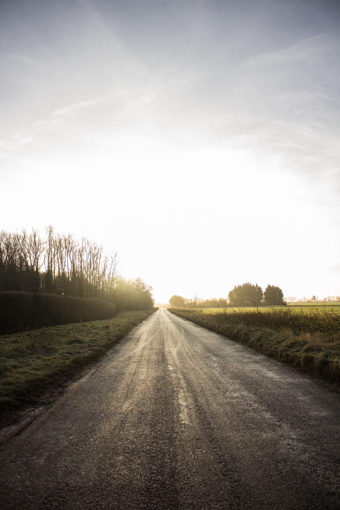 英国，大肝脏，霜冻，雾，雾，雾，雾，雾，冬天