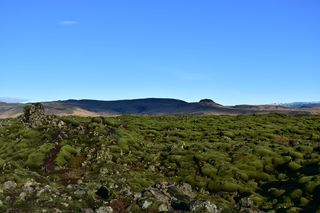 冰岛，lávamező，地衣，景观-自然，天空，景观，自然之美，环境