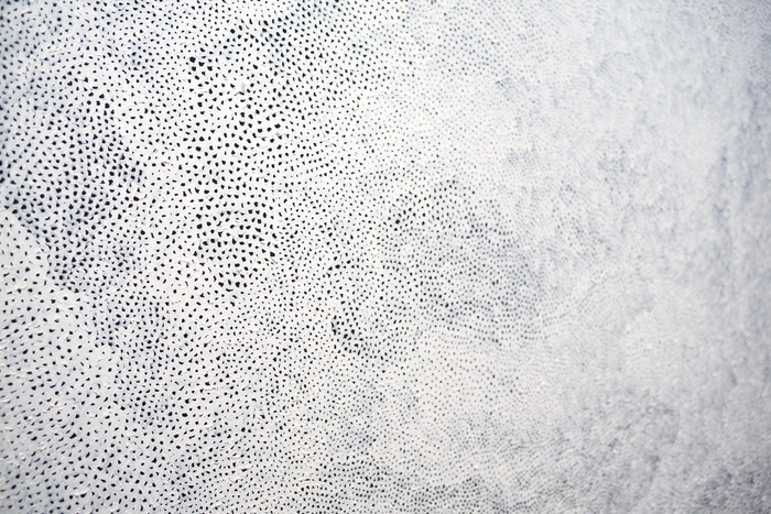 美国，纽约，黑色画布上的纹理白色油漆，白色，油漆，点，纹理，光