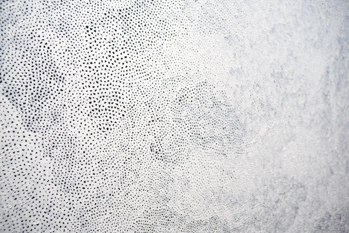 美国，纽约，黑色画布上的纹理白色油漆，白色，油漆，点，纹理，光