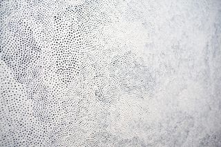 美国，纽约，黑色画布上的纹理白色油漆，白色，油漆，点，纹理，光