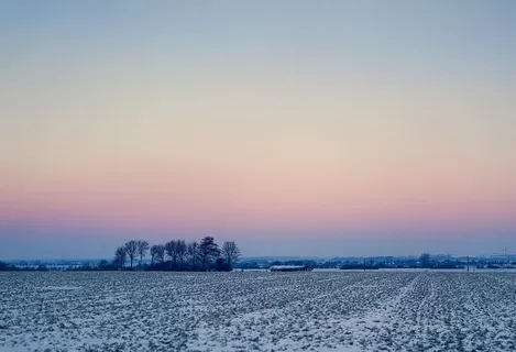 寒冷,雪,黎明,风景,黄昏,田野,雾,泽 寒冷,雪,黎明,风景,黄昏,田野,雾,泽