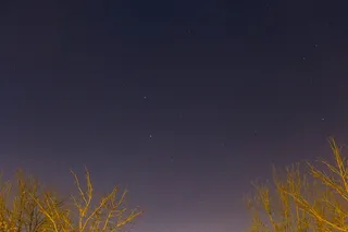 恒星，星系，太空，天空，夜晚，黑暗，夜晚，树木