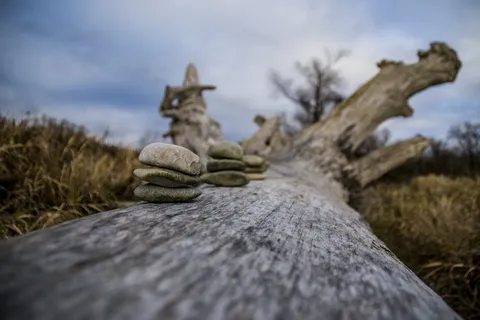 isar、树、天空、云、自然、旅游、浪漫、心情