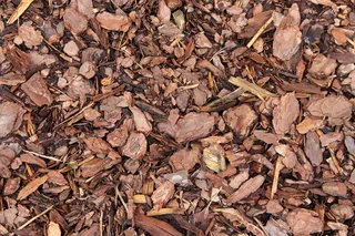 棕色木板，基材，树皮，木材，干燥，纹理，背景，结构